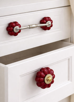 Stylish Maroon Ceramic Knob & Pull Bundle