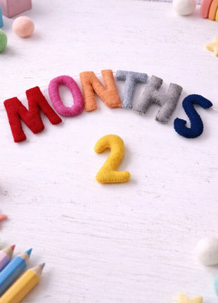 1-12 Numbers & Months Wool Felt Garland – 8–10 cm Multicolor Letters