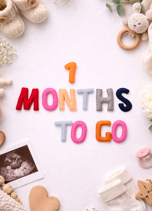 Handmade Wool Felt “1–9 Months to Go” Pregnancy Milestone Set – Maternity Photo Props