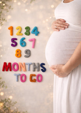 Handmade Wool Felt “1–9 Months to Go” Pregnancy Milestone Set – Maternity Photo Props