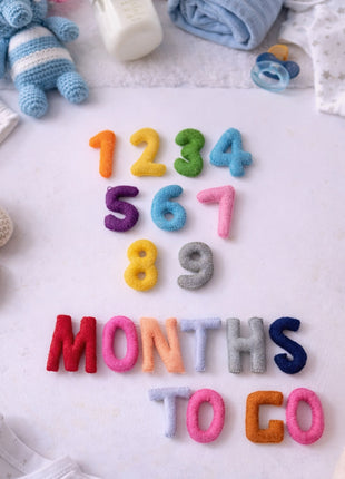 Handmade Wool Felt “1–9 Months to Go” Pregnancy Milestone Set – Maternity Photo Props