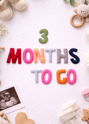 Handmade Wool Felt “1–9 Months to Go” Pregnancy Milestone Set – Maternity Photo Props