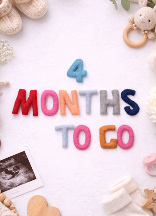 Handmade Wool Felt “1–9 Months to Go” Pregnancy Milestone Set – Maternity Photo Props