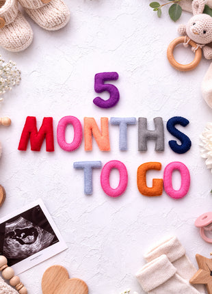 Handmade Wool Felt “1–9 Months to Go” Pregnancy Milestone Set – Maternity Photo Props