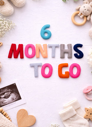 Handmade Wool Felt “1–9 Months to Go” Pregnancy Milestone Set – Maternity Photo Props