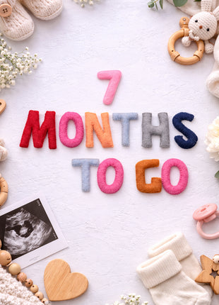 Handmade Wool Felt “1–9 Months to Go” Pregnancy Milestone Set – Maternity Photo Props