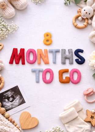 Handmade Wool Felt “1–9 Months to Go” Pregnancy Milestone Set – Maternity Photo Props