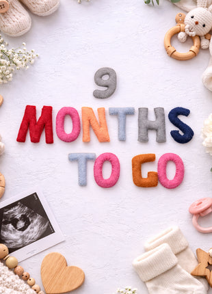 Handmade Wool Felt “1–9 Months to Go” Pregnancy Milestone Set – Maternity Photo Props