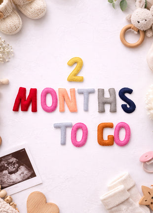 Handmade Wool Felt “1–9 Months to Go” Pregnancy Milestone Set – Maternity Photo Props