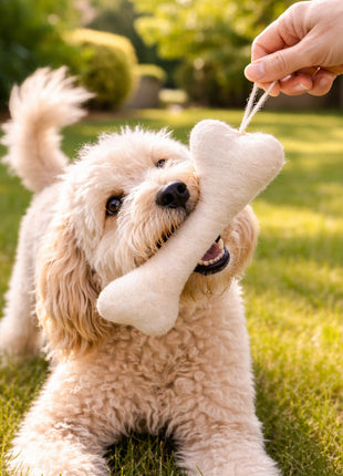 Handmade Wool Felt Bone Toy – Soft Pet-Friendly Hanging Chew Décor