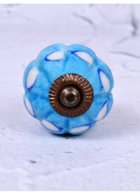 White and Turquoise design knob