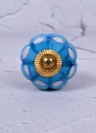 White and Turquoise design knob