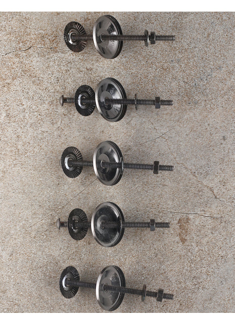 Silver Antique Set of 5 Screw