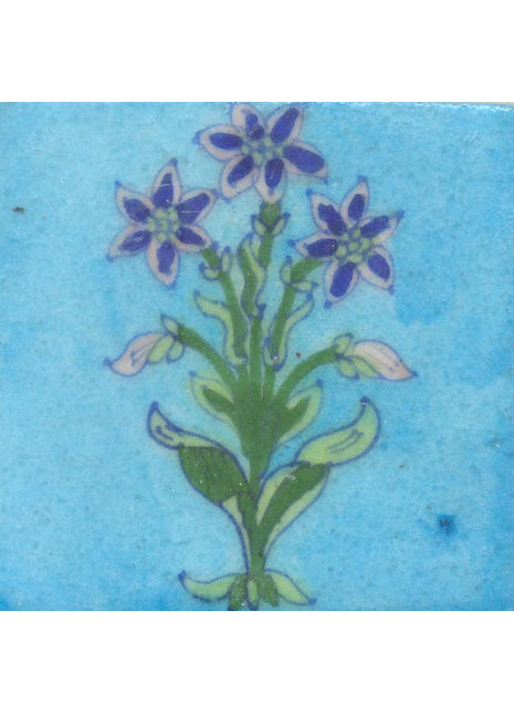 Blue Flowers and Green leaf with Turquoise Base Tile