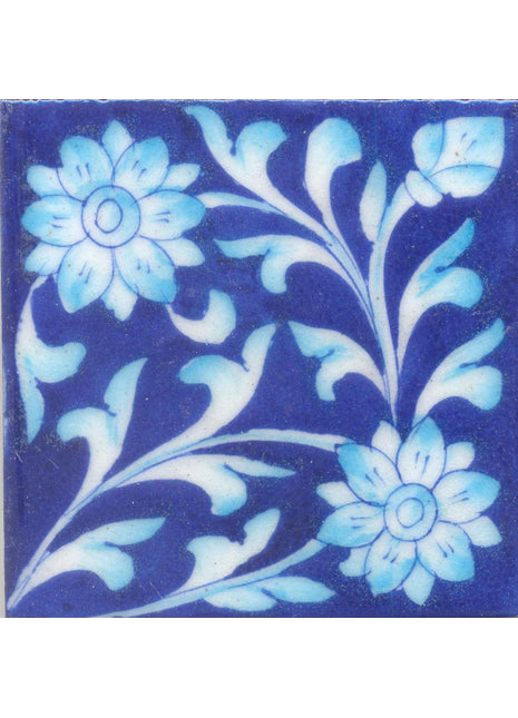 Turquoise Sheding with Blue Base Tile