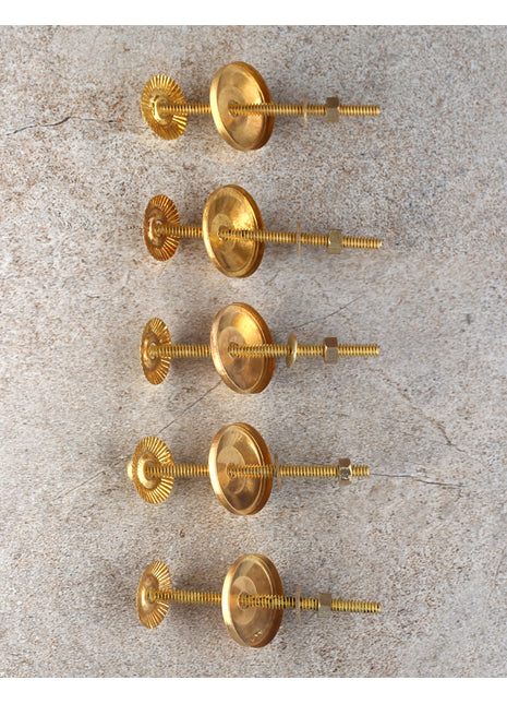 Brass Polished Metal Screw Set of 5 pcs