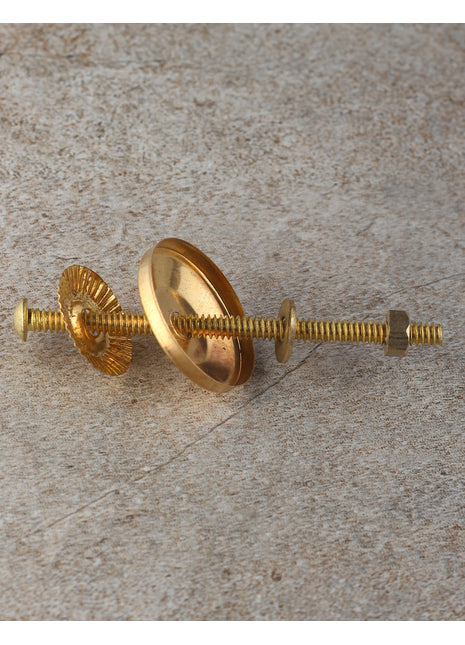 Brass Polished Metal Screw Set of 5 pcs