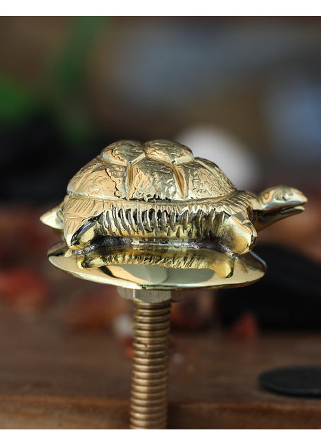 Decorative Tortoise Solid Brass Metal Knob