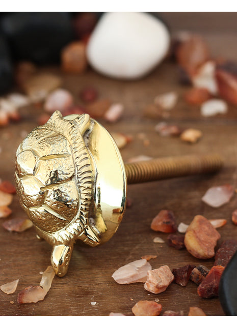 Decorative Tortoise Solid Brass Metal Knob