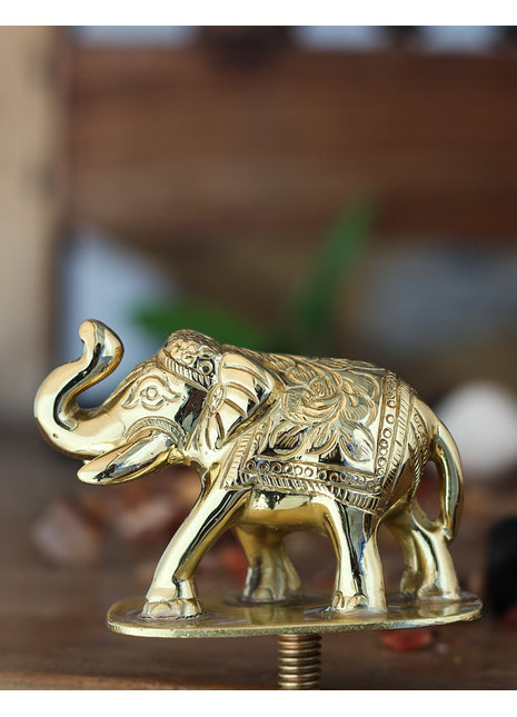 Traditional Elephant Solid Brass Metal Knob