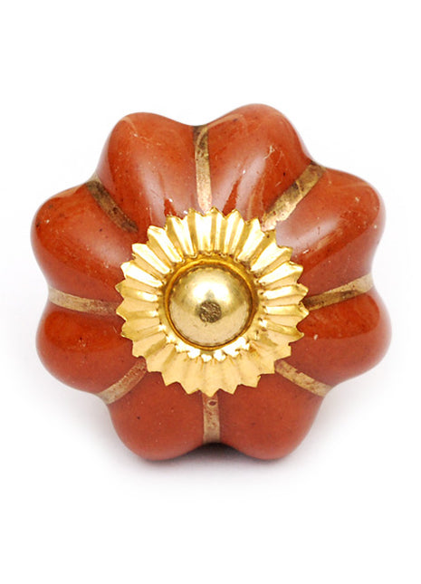 Elegant Brown Kitchen Cabinet Knob With Golden Design