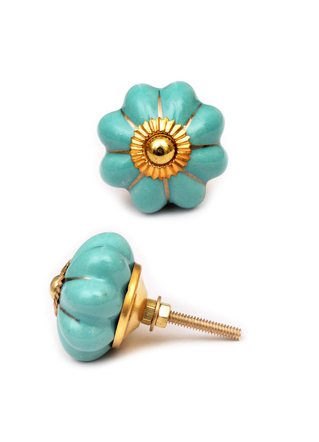 Elegant Teal Kitchen Cabinet Knob With Golden Design