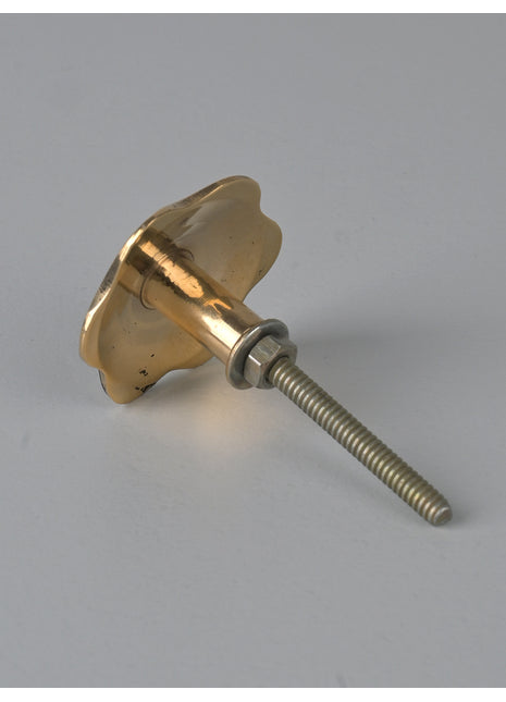 Unique Brass Finishing Mother of Pearl Drawer Cabinet Knob