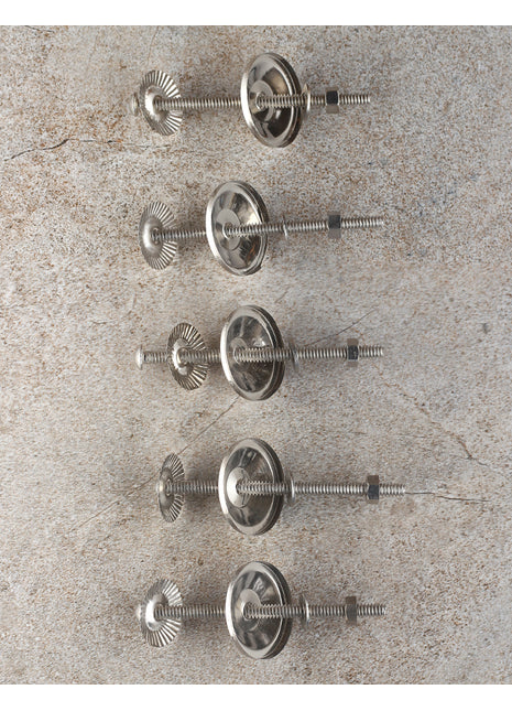 Silver Set of 5 Screw