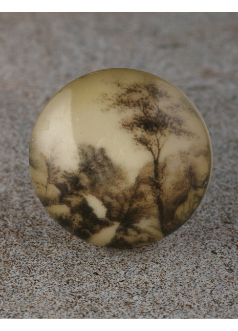 Antique Scenery Dresser Resin Knob